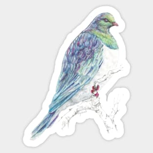 Mr Kereru, New Zealand native bird Sticker